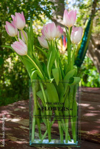tulips in vase