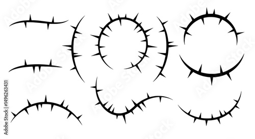 Thorny Design Elements: A striking collection of various intricate design elements, each displaying individual shapes and styles of prickly thorns on a clean setting.