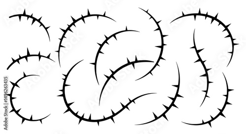 Thorny Embrace: A collection of black thorn vines in elegant patterns against a clean background. Capturing the intricate details and the stark contrast.
