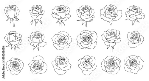 Rose Outline Set: A collection of delicate rose outlines, perfect for adding a touch of elegance to your design projects. The versatile set includes various rose shapes, bud stages, and angles.