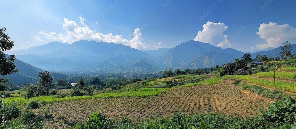 Naklejka premium Mountain Landscape with Rice Field Terraces and Blue Sky