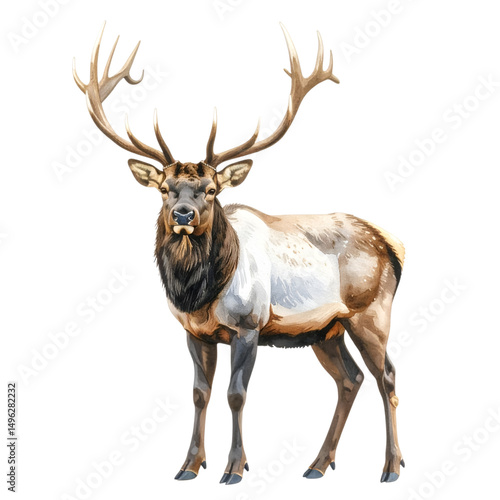 Wallpaper Mural Majestic Elk Illustration: A powerful male elk with a magnificent set of antlers stands proudly, showcasing its impressive size and imposing presence. Torontodigital.ca