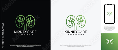 Nature kidney logo design. Kidney internal organ logo design vector icon made with lines and leaves