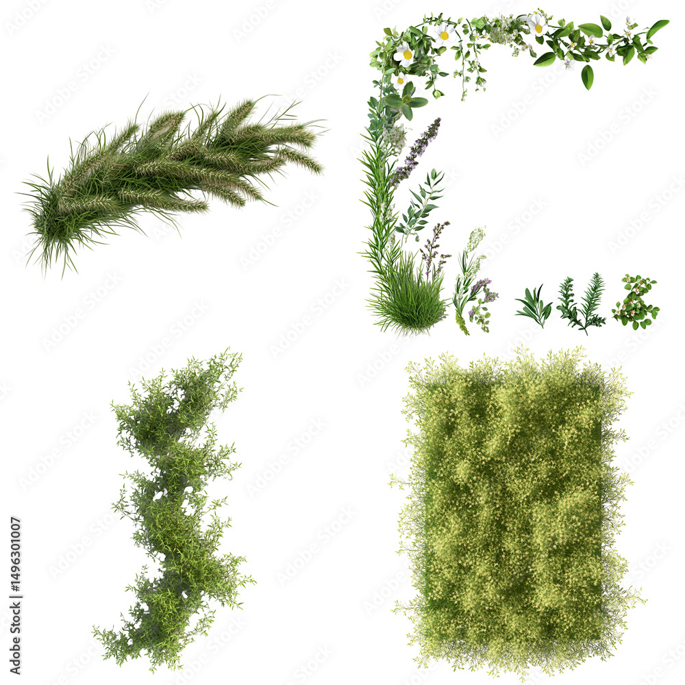 Fototapeta premium Collection of assorted plants and greenery arrangements on black background