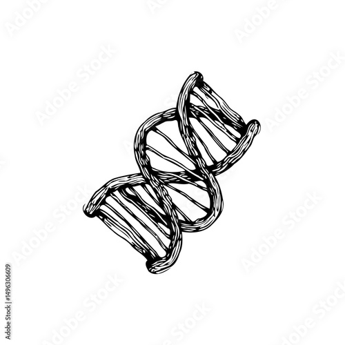 Abstract representation of a genetic helix sketch, symbolizing biology and heredity