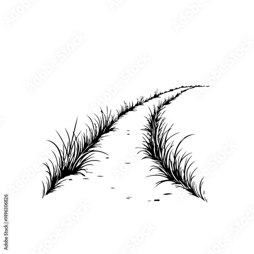 Minimalist illustration of a winding path cutting through tall grass vegetation