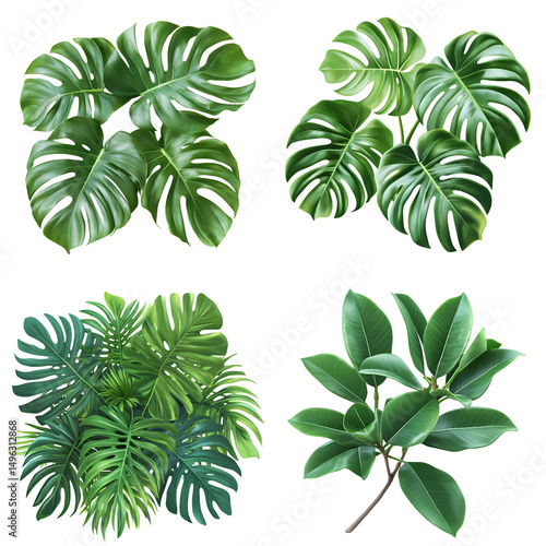 Tropical leaf illustration composition on black background