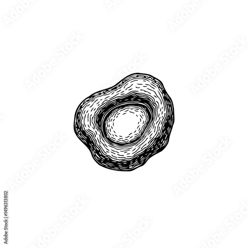 Monochrome organic shape illustration in simple abstract outline design