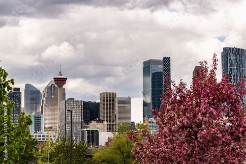 Spring and flowers in downtown Calgary