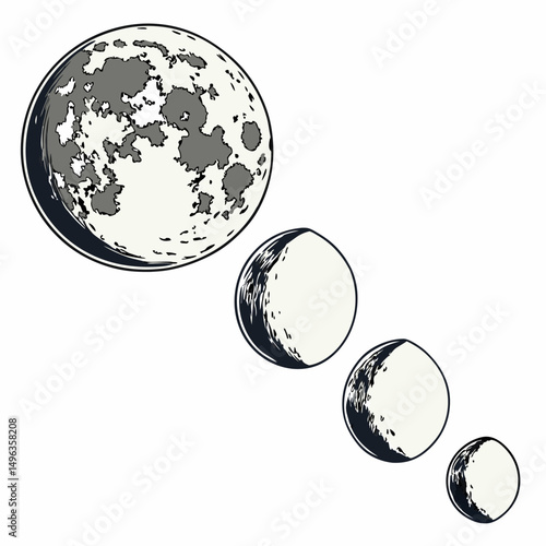 Moon phases celestial cycle lunar illustration