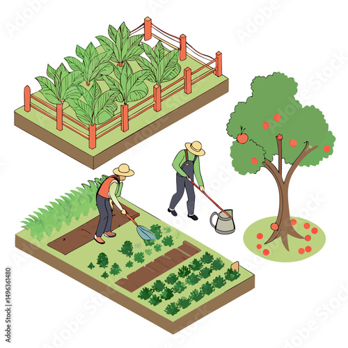 Farmers working in vegetable garden and orchard