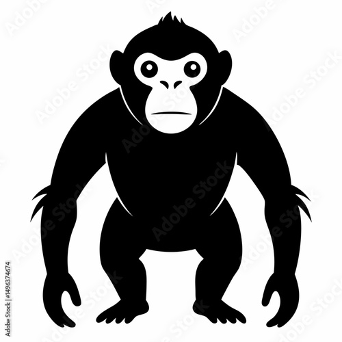chimpanzee silhouette on white background