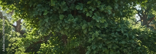 Lush green leaves, vibrant texture, sunlight dappled ,  design,  stock,  closeup