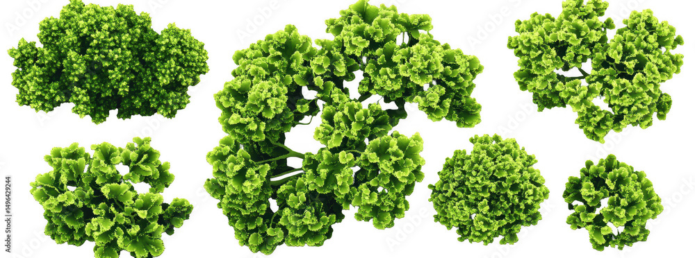 Collection of realistic green tree images showcasing various angles and shapes, perfect for nature themed projects and designs. vibrant foliage adds fresh touch to any visual Collection of realistic green tree images showcasing various angles and shapes, perfect for nature themed projects and designs. vibrant foliage adds fresh touch to any visual