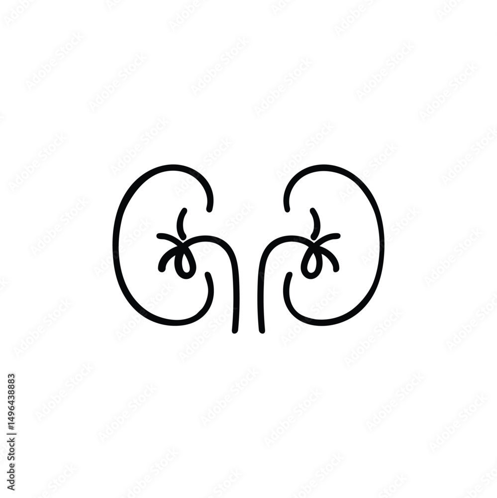 Fototapeta premium Kidney Line Style Icon Design
