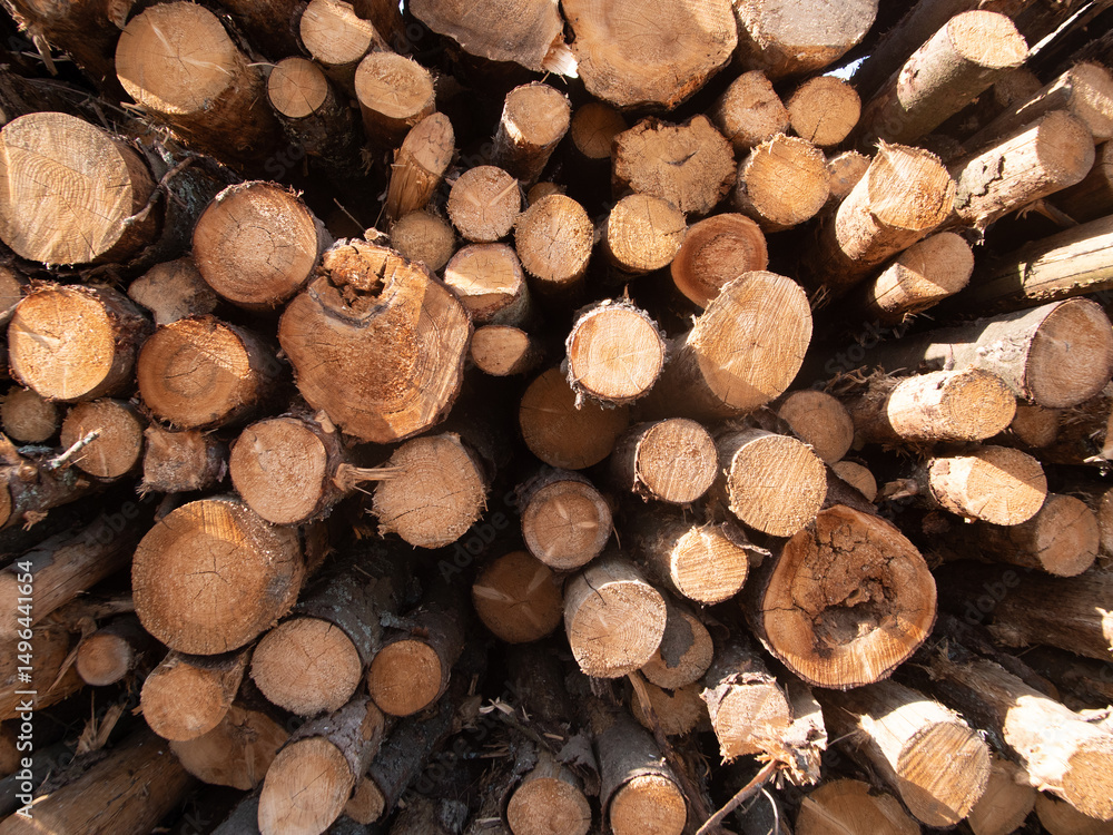 Fototapeta premium Stacked Logs in a Woodpile Creating a Rustic and Natural Texture in Sunlight During the Day, Showcasing the Beauty of Timber and Nature's Design
