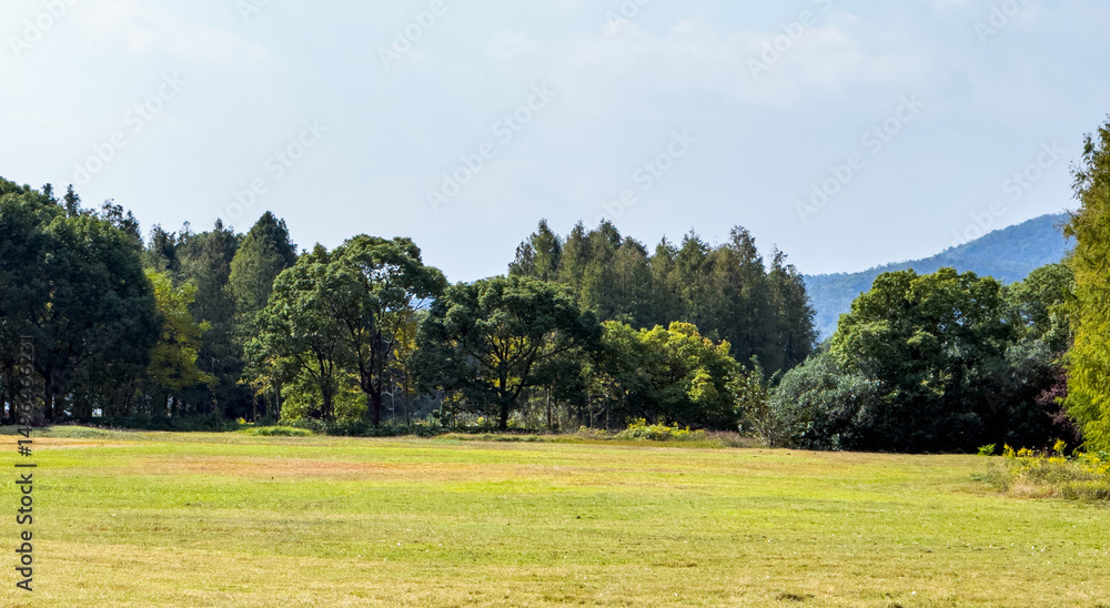 Tranquil Green Landscape Surrounded by Lush Trees and Clear Skies Tranquil Green Landscape Surrounded by Lush Trees and Clear Skies