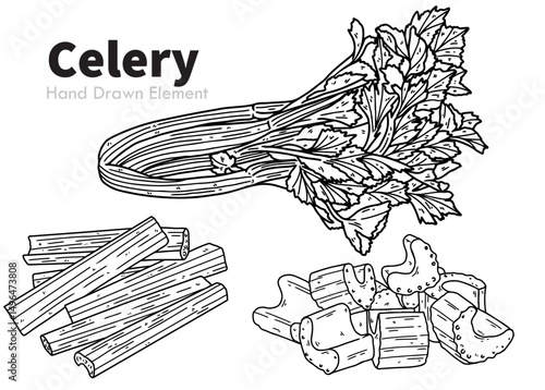 hand drawn sketch of a Celery.