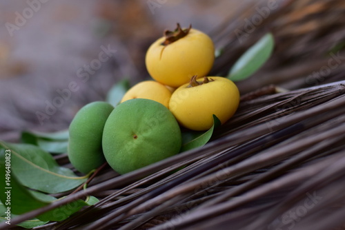 Gold Apple, Diospyros decandra Lour. Thai fruit and Thai herb, Diospyros decandra Lour, goldapple, Diospyros decandra Lour fruit ( Ebenaceae ) gold apple ,fruit and herb