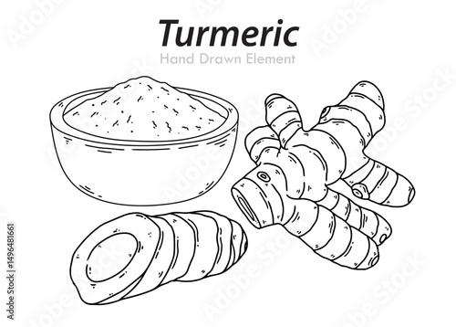 vector illustration of a turmeric