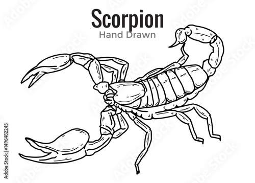 vector illustration of a scorpion