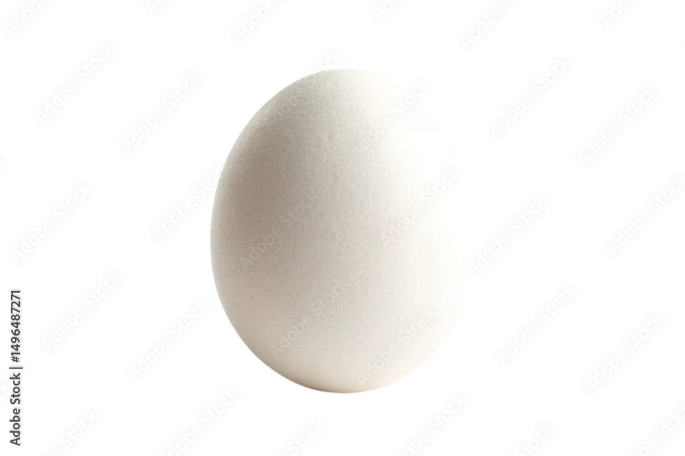 egg isolated on white background egg isolated on white background