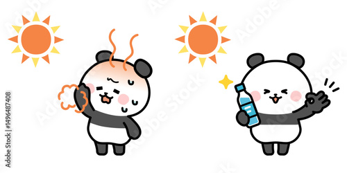 Panda A set to hydrate against heat stroke.
