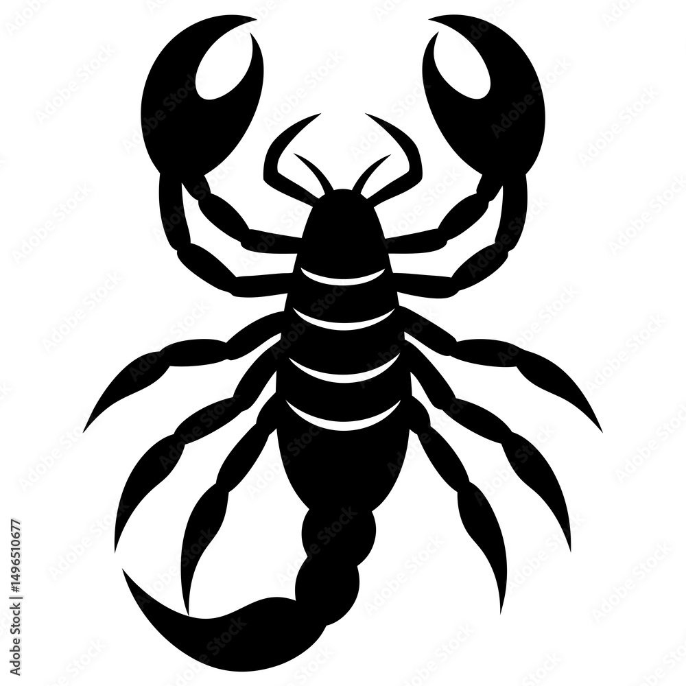 Obraz premium black and white scorpion