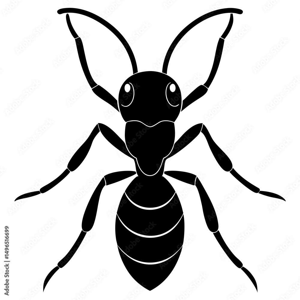 vector illustration of a black spider vector illustration of a black spider