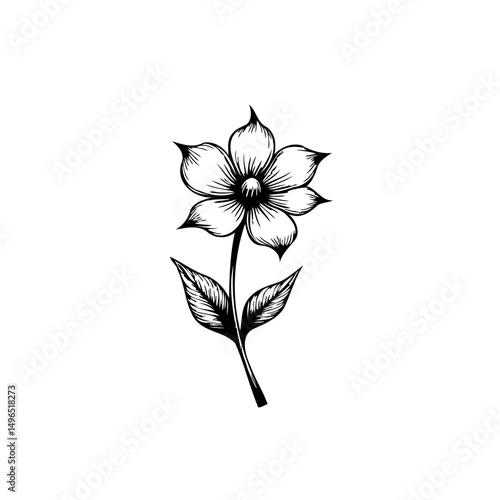 Elegant floral drawing portraying botanical simplicity and classic artistry
