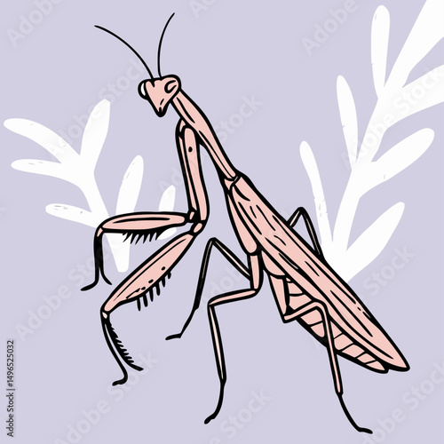 Pink Praying Mantis Illustration, Insect Drawing, Nature Art