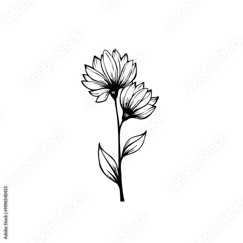Elegant Floral Sketch: Delicate Botanical Illustration in Black and White