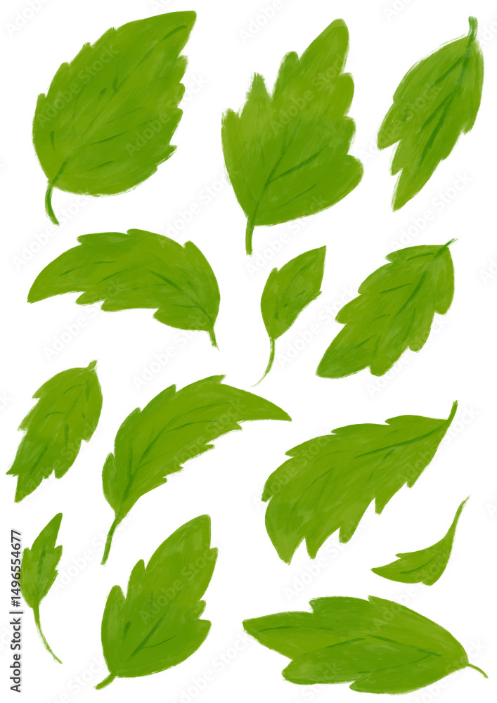 Set of green leaves illustration. Element design for greeting cards and invitations of the wedding, birthday Set of green leaves illustration. Element design for greeting cards and invitations of the wedding, birthday