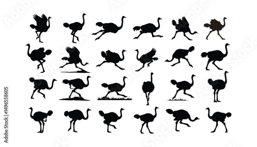 Ostrich Silhouette Bundle | Black Ostrich Clipart | Running Ostrich PNG | Animal Silhouettes for Sublimation and Cricut .