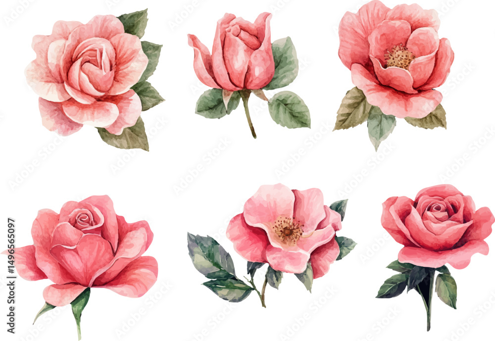 Fototapeta premium set of pink roses vector