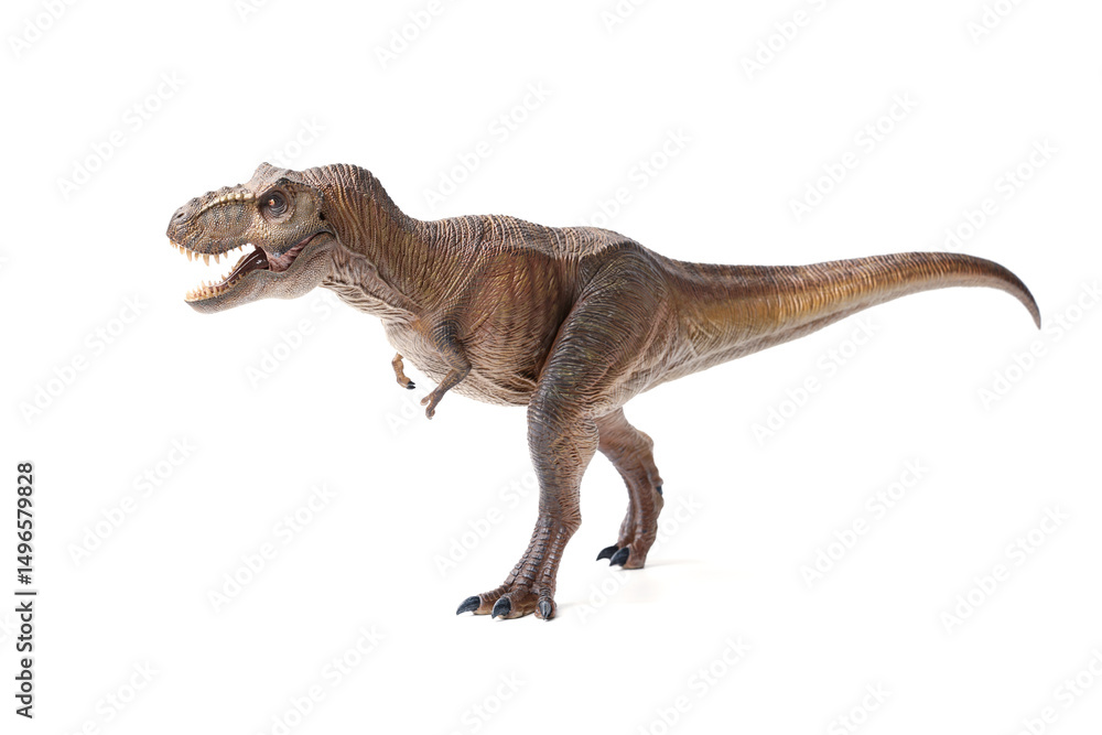 Obraz premium Tyrannosaurus rex dinosaurs toy isolated on white background.