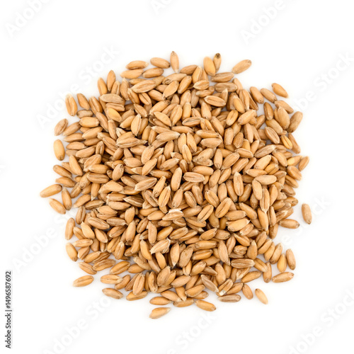 flat lay pile of spelt whole grain isolated on white background cutout