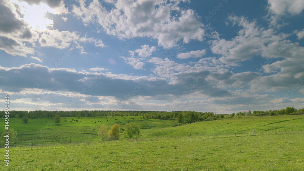 Fototapeta premium The Serene Green Fields sprawling under a Beautiful Sky filled with bright clouds Time lapse.