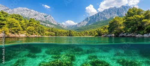 Half underwater view of picturesque lake in mountains during the bright day