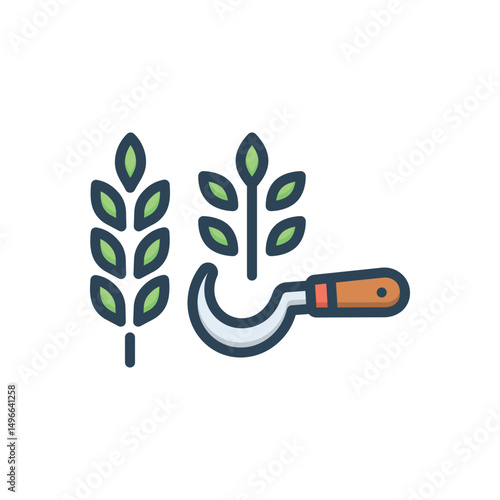 Color illustration icon for harvest
