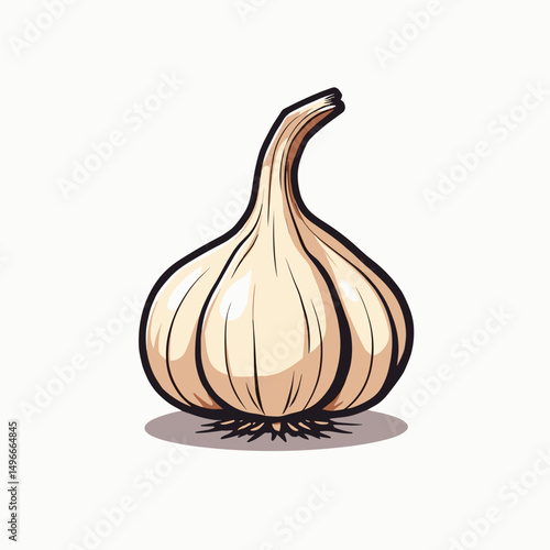 Single Garlic Bulb Vector Illustration on White Background, Fresh and Healthy Culinary Ingredient
