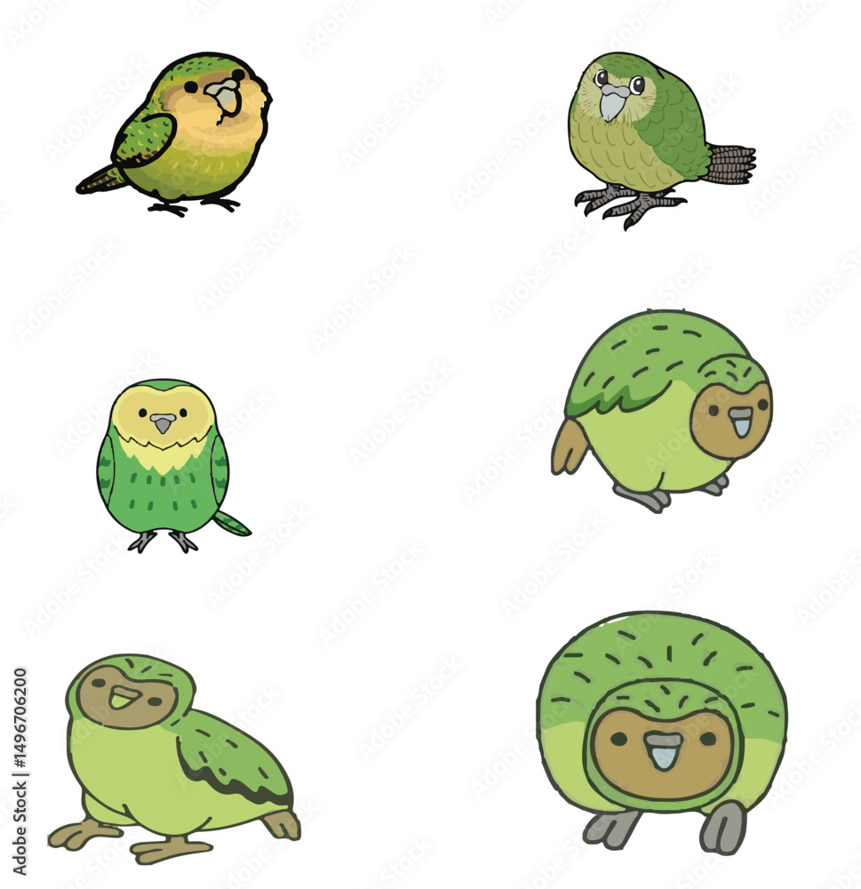 Obraz premium kakapo set of six colour picture