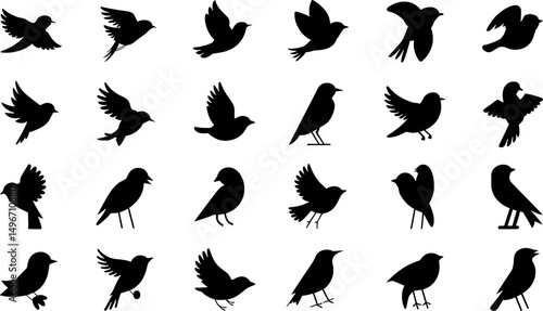 Collection of silhouettes various bird species flying perched