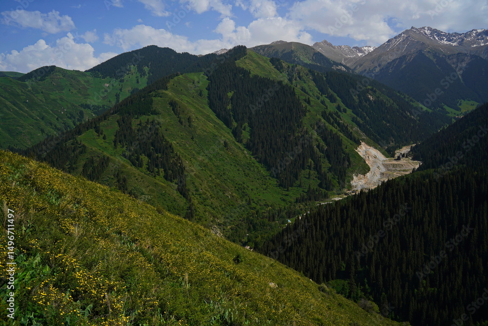 Obraz premium Aksai gorge. Mountainous area with different vegetation. The Tian Shan Mountains.