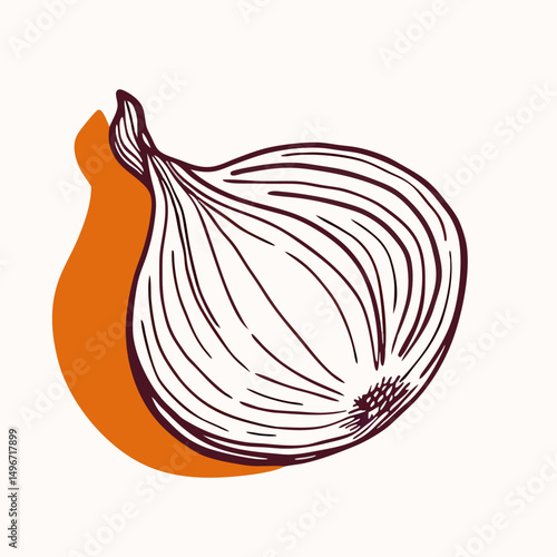 Hand-drawn Onion Illustration, Vintage Style Vegetable Drawing