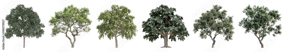 Fototapeta premium PNG Diverse trees in row, element set on transparent background