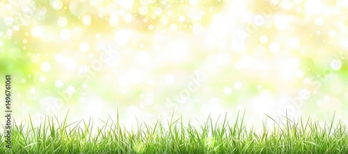 Fresh Green Grass, Bright Background