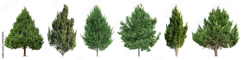 Obraz premium PNG Variety of lush trees, element set on transparent background