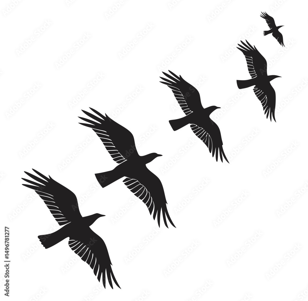 Fototapeta premium set of silhouettes of birds