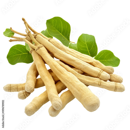 Wallpaper Mural Shatavari Roots With Leaves on transparent or white Backdrop, Highlighting The Plant'S Natural Beauty And Potential Uses. Torontodigital.ca
